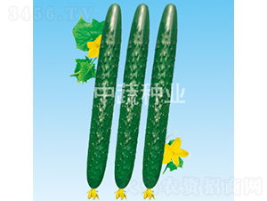 ���r(n��ng)50-�S�ϷN��-���߷N�I(y��)