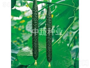 ���r(n��ng)18̖(h��o)-�S�ϷN��-���߷N�I(y��)