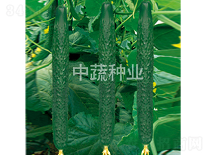 ���r(n��ng)116̖(h��o)-�S�ϷN��-���߷N�I(y��)