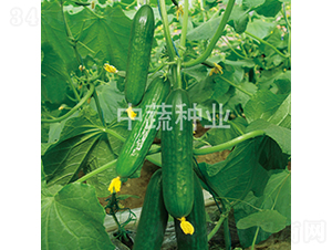 ���r(n��ng)29̖(h��o)-�S�ϷN��-���߷N�I(y��)