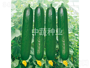 ���r(n��ng)59-�S�ϷN��-���߷N�I(y��)