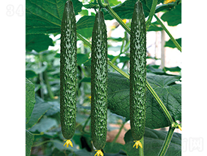 ���r(n��ng)126-�S�ϷN��-���߷N�I(y��)