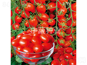 ����2̖(h��o)-���ѷN��-���߷N�I(y��)