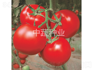 ���s302-���ѷN��-���߷N�I(y��)