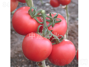 ���s201-���ѷN��-���߷N�I(y��)