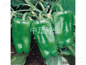 �н�5̖-�����N��-���߷N�I(y��)