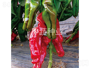 �н�309-�����N��-���߷N�I(y��)