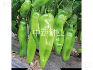 �н�ţ��1̖-�����N��-���߷N�I(y��)