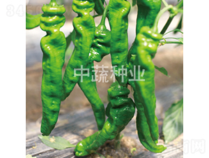 �н�509-�����N��-���߷N�I(y��)