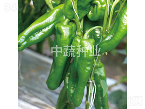 �н�506̖-�����N��-���߷N�I(y��)