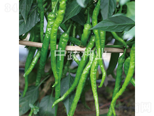 �н�L1-�����N��-���߷N�I(y��)