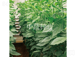 �н��p��101-�����N��-���߷N�I(y��)