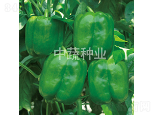 �н�0807-�����N��-���߷N�I(y��)