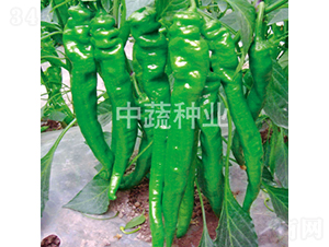 �н�109̖-�����N��-���߷N�I(y��)