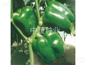 �н�4̖-�𽷷N��-���߷N�I(y��)