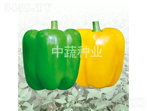 �н�08-08̖-�𽷷N��-���߷N�I(y��)