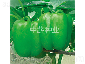 �н�108-�𽷷N��-���߷N�I(y��)