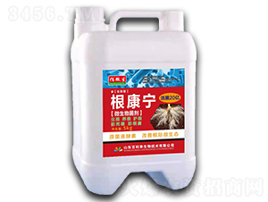 ������-��΢��-������