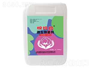 ΢�������-�ދ���-�{(l��n)�