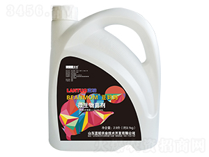 ΢�������-������-�{�