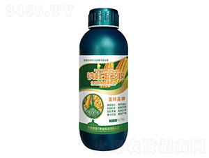 �F�U�����-�����S-���Π�