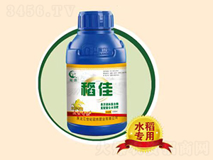 ����-��Ȼ