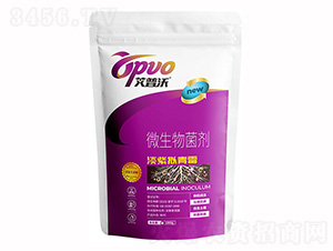 ���ϔM��ù-�I(y��)�r(n��ng)