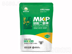 ��������-��������