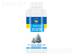 �����Iֲ�������-���������� 