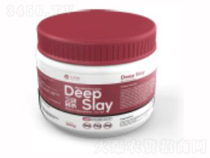 ��Ч����-��������