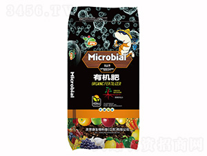 �ЙC��-���տ�