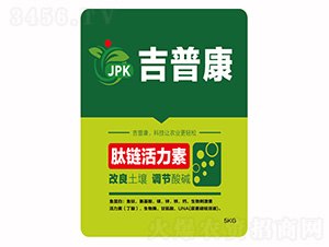 ��朻�����-���տ�