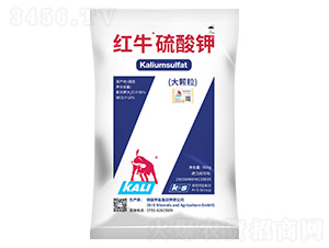 �tţ����⛣����w����-����}�r(n��ng)�I(y��)