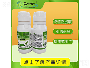 �E�R�Tʳ��-�r(n��ng)С��-�f��GԴ