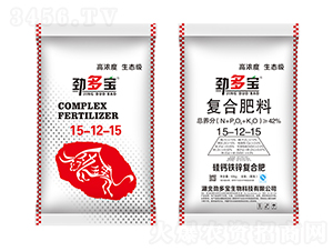 �Ŷ������}�F�\��(f��)�Ϸ�15-12-15-�Ŷ���