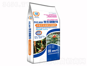 �в�ˎ����΢�������-��ˎ��-�����r(n��ng)�I(y��)