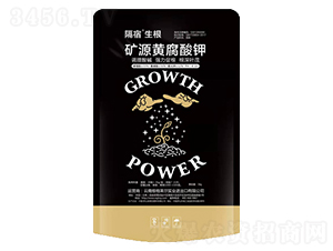 �VԴ�S�����-�W���R