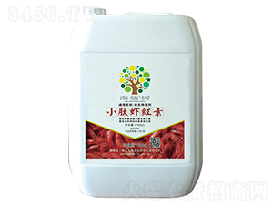 С���r�t��-��ֲ��(sh��)