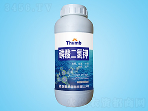 1000ml��������-����r(n��ng)�I(y��)