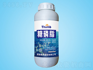 ����֬-����r(n��ng)�I(y��)