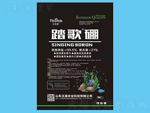 ̤����-������-����r(n��ng)�I(y��)