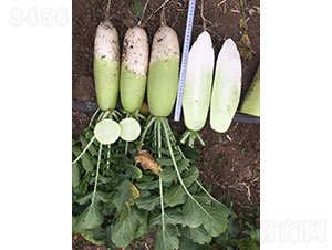 �����}���N��-�A���r(n��ng)�I(y��)