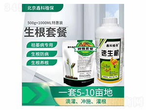 �������ײ�-�ο�ֲ��