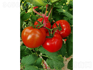 �t�D��RT2018�����ѷN��-�A���r(n��ng)�I(y��)