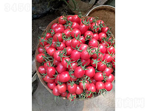 �۾��`���ѷN��-�A���r(n��ng)�I(y��)