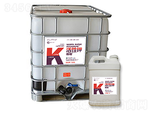 ����������-����