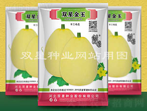 �p�ǽ���-��ϷN��-�p�ǷN�I(y��)