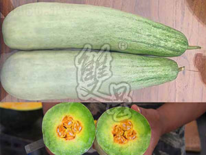 �@ϲ-��ϷN��-�p�ǷN�I(y��)