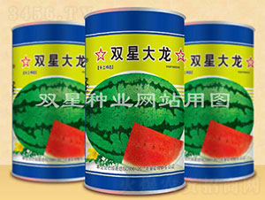 �p�Ǵ���-���ϷN��-�p�ǷN�I(y��)