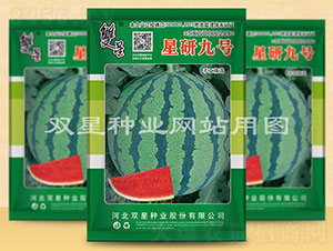 ���о�̖(h��o)-���ϷN��-�p�ǷN�I(y��)